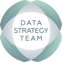 Data Strategy Team